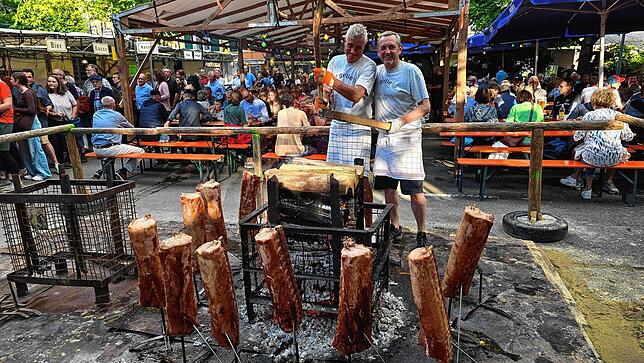 Bild 14: Bilder vom Überlinger Promenadenfest