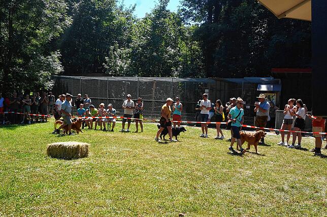 Bild 21: Große Feier zum 60sten Geburtstag: Badische Jäger feiern mit einem "Tag der Jagd"