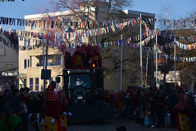 Bild 10: Bilder vom Narrentreffen der Urviecher-Zunft Bad Dürrheim: Großer Festumzug (4)