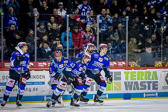 Bild 5: Bilder: Wild Wings vs. Krefeld Pinguine