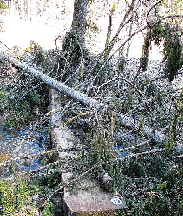 Morscher Baum trifft morschen Steg: Diese Gauchachquerung sollte ohnehin ersetzt werden. Ein Wintersturm hat noch einen Punkt gesetzt.