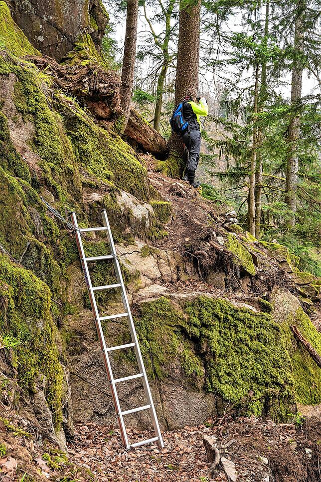 Private Suchaktion: Mit großem Aufwand und viel persönlichem Einsatz suchen private Suchgruppen seit dem Verschwinden der Wanderin nach ihr.