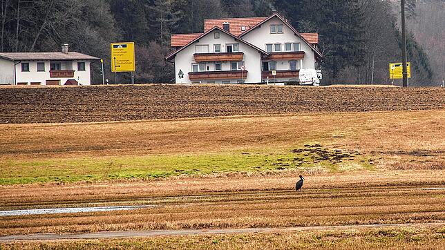 Diesen Schwarzstorch vor dem Längehaus bei Blumberg-Riedöschingen fotografierte Sabine Schmid am 17. März 2018 vor dem Längehaus.