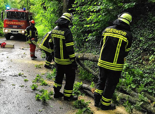 Bei Hilfeleistungen während Unwettern sind die Feuerwehrleute besonderen Gefahren ausgesetzt.