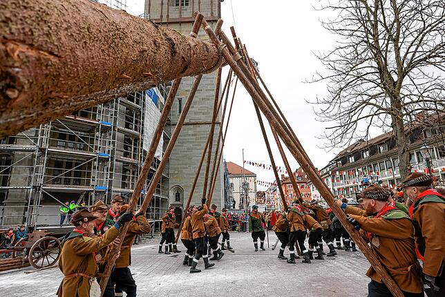 Bild 37: Narrenbaumstellen auf dem Radolfzeller Marktplatz