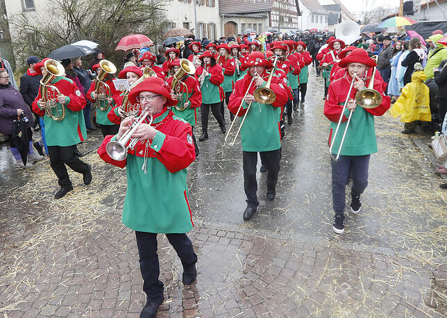 Bild 18: Bilder zum großen Narrentreffen in Pfohren (1)