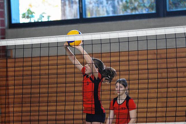 Bild 30: U14-Volleyballerinnen qualifizieren sich für baden-württembergische Meisterschaften