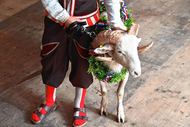 Bild 27: Bilder von der Bockverlosung