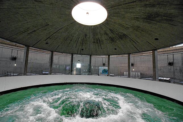 Die Bodensee-Wasserversorgung entnimmt das Wasser aus 60 Metern Tiefe. Bei Süßenmühle stehen sechs Pumpen, mit denen das Wasser in das ...