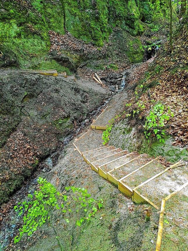 Knüppelstufentreppen erleichtern die Bachquerung am Brudertalbach
