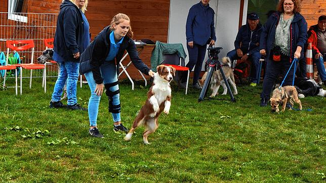 Nicola Simon ist Co-Trainerin und bringt dem Hundenachwuchs so einiges bei.