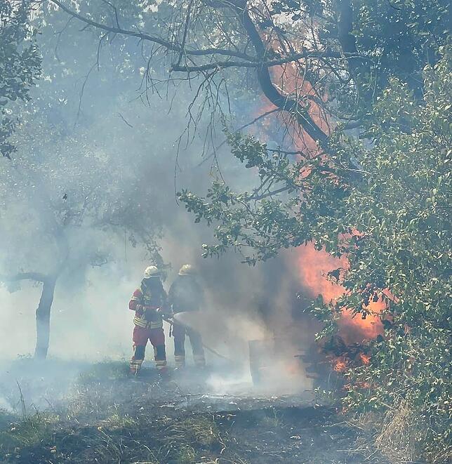 Die Feuerwehr rückte im Juli 2022 aus, weil ein Waldstück bei Wallbach Feuer fing.