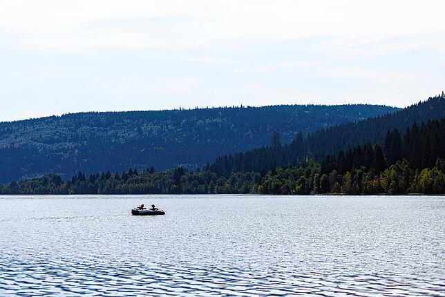 Blaualgen machen das Baden im Schluchsee derzeit unmöglich.
