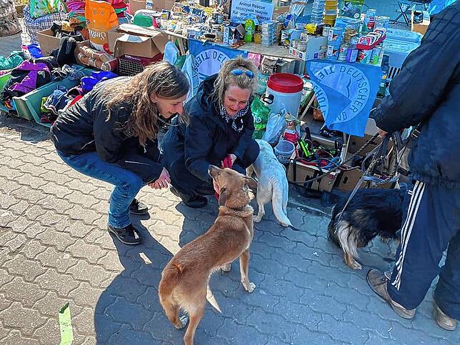 Kontaktaufnahme: Zwei Helferinnen mit zwei geretteten Hunden.