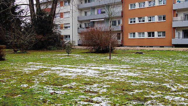Auf dieser Wiese hat sich der Messer-Vorfall ereignet. Hinten rechts vor dem orangfarbenen Haus sieht man den Baumstumpf, der den ...