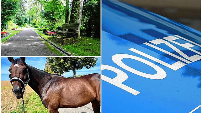 Belästigungen auf Friedhöfen, verletzte Pferde – die Polizei hatte in den vergangenen Monaten in Radolfzell einiges zu tun. Aber was ...