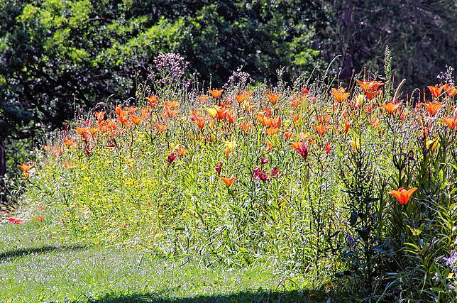 Bild 8: Bilder vom Villinger Hubenloch und dem Rosengarten