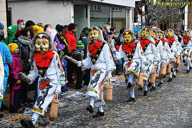 Bild 18: Bilder vom Pfrieme-Stumpe Jubiläumsumzug in Tennenbronn