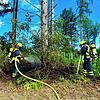 Helfer der Freiwilligen Feuerwehr Daisendorf sind am Donnerstagmorgen bei einem Flächenbrand im Wald beim Spielplatz am Rehgehege im ...