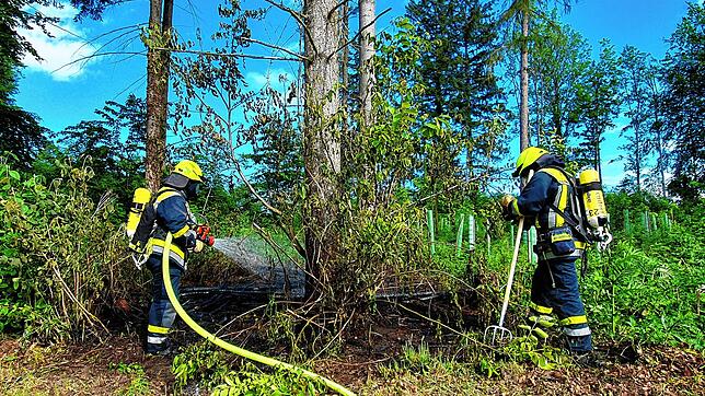 Helfer der Freiwilligen Feuerwehr Daisendorf sind am Donnerstagmorgen bei einem Flächenbrand im Wald beim Spielplatz am Rehgehege im ...