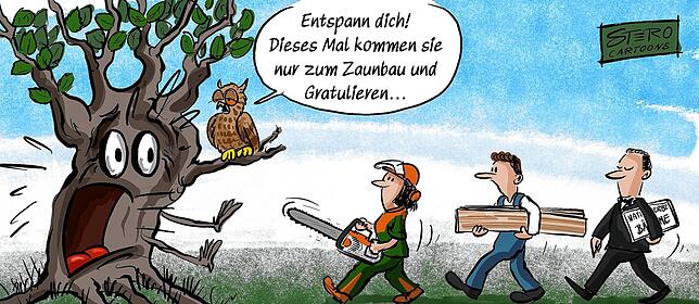 Die Burkartlinde am Haldenhof erhielt eine sehr besondere Auszeichnung. Sie ist ein Nationalerbe-Baum.