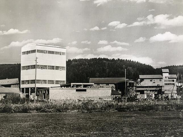 Bis 1979 wurde in diesen Immendinger Gebäuden Basalt verarbeitet, der am Höwengg abgebaut wurde.