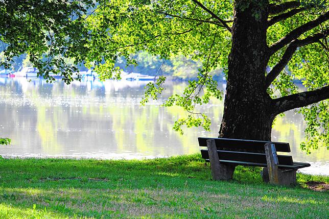 Innehalten am Rhein bei Schwörstadt. Bild: Heidi Rombach