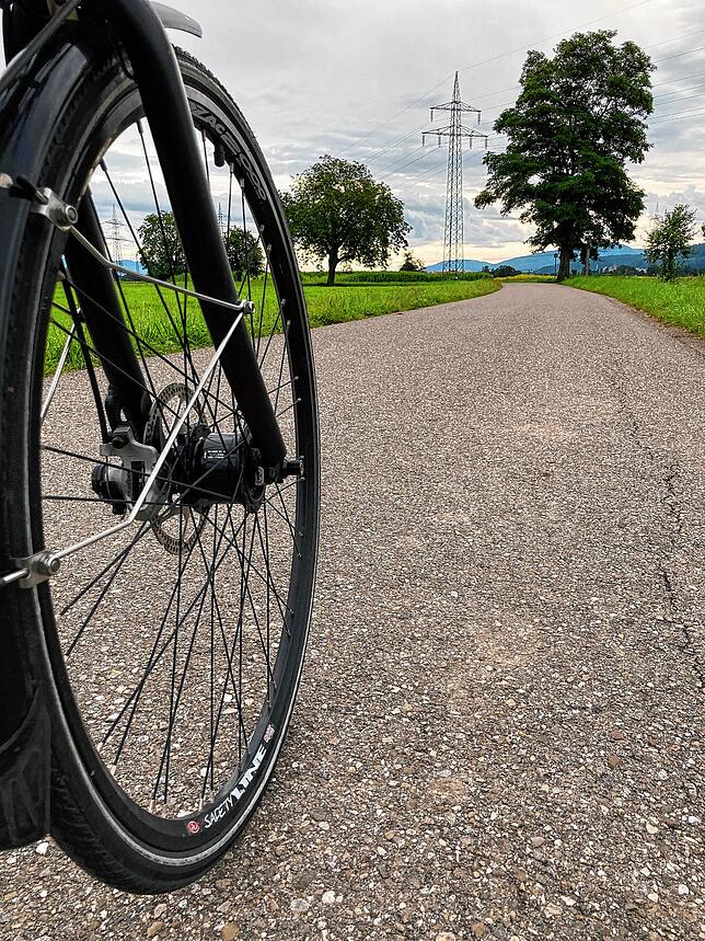 Sabine Hartmann-Müller fordert mehr Radwege für Rheinfelden. Bild: Dora Schöls