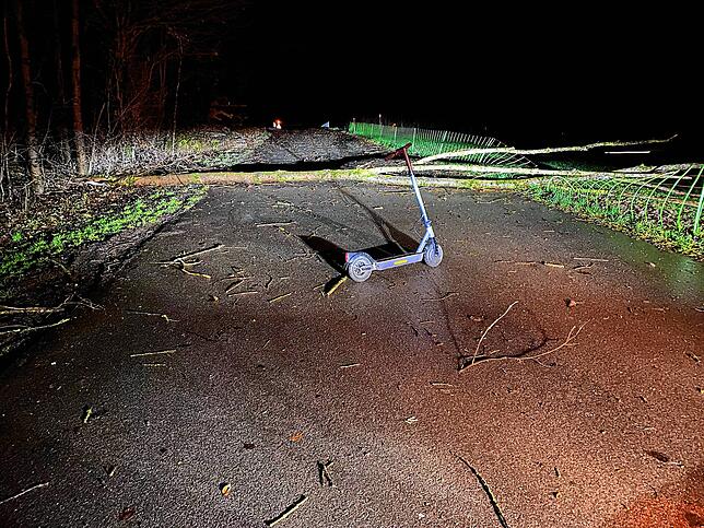 Ein E-Scooter-Fahrer wurde bei der Kollision mit einem umgestürzten Baum in Islikon leicht verletzt und musste ins Spital gebracht werden.
