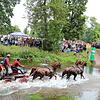 Bild :