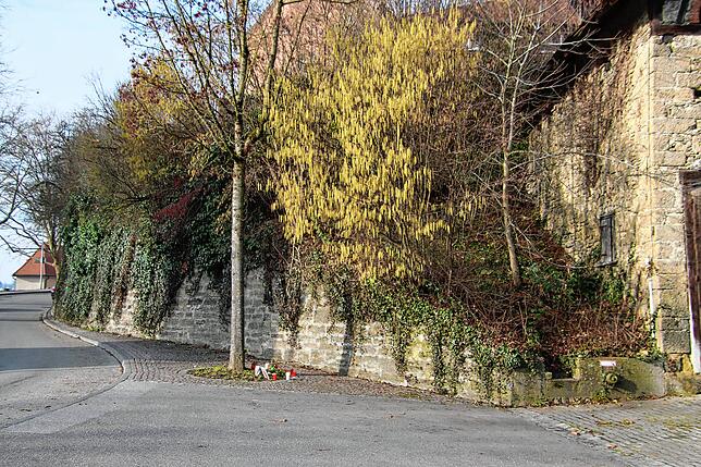 An einem Baum bei der Straße am Stadtwall in Stockach haben Menschen am Donnerstag Kerzen aufgestellt und Blumen abgelegt, um der Toten ...