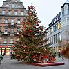 Seit Mittwoch steht er in voller Pracht und geschmückt da: der große Weihnachtsbaum auf der Marktstätte. Bereits am späten Nachmittag ...