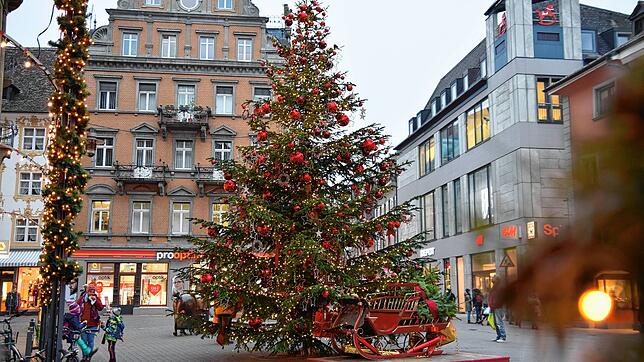 Seit Mittwoch steht er in voller Pracht und geschmückt da: der große Weihnachtsbaum auf der Marktstätte. Bereits am späten Nachmittag ...