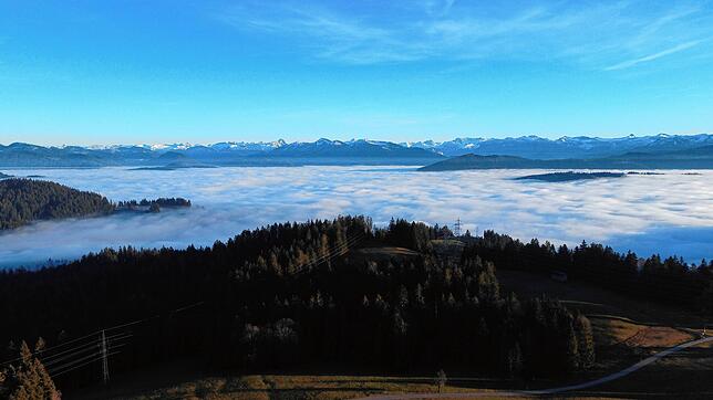 Ein Anblick, der immer seltener wird. Denn der Nebel über dem Bodensee, wie hier vom Pfänder aus fotografiert, wird eher weniger.