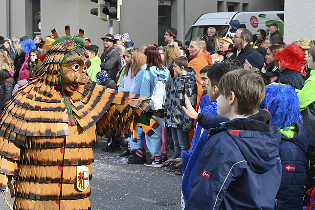 Bild 6: Bilder vom Radolfzeller Fastnachtsumzug