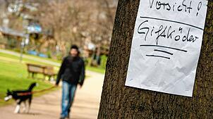 Symbolbild – In der Schwarzwaldstraße in Singen wurden Giftköder gefunden.