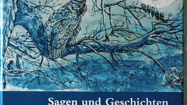 216 unterhaltsame, spannende oder gruselige Sagen und Geschichten, die sich dereinst in der Region zugetragen haben sollen, sammelte ...