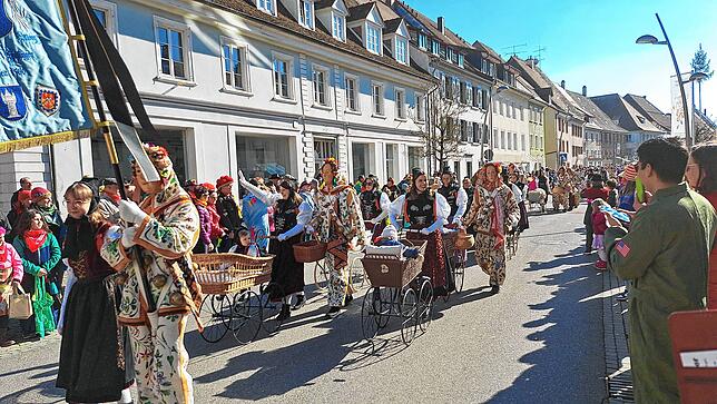 Bild 12: Fasnet 2025: Die besten Bilder vom Umzug in Hüfingen