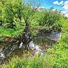 Einen halben Kilometer vor Marbach sind mehrere Teiche im zuvor ausgetrockneten Talbachlauf mit Wasser gefüllt – das ist einem ...