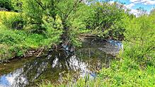 Einen halben Kilometer vor Marbach sind mehrere Teiche im zuvor ausgetrockneten Talbachlauf mit Wasser gefüllt – das ist einem ...