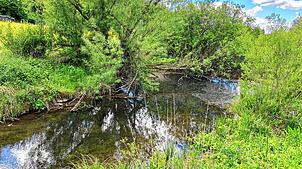 Einen halben Kilometer vor Marbach sind mehrere Teiche im zuvor ausgetrockneten Talbachlauf mit Wasser gefüllt – das ist einem ...