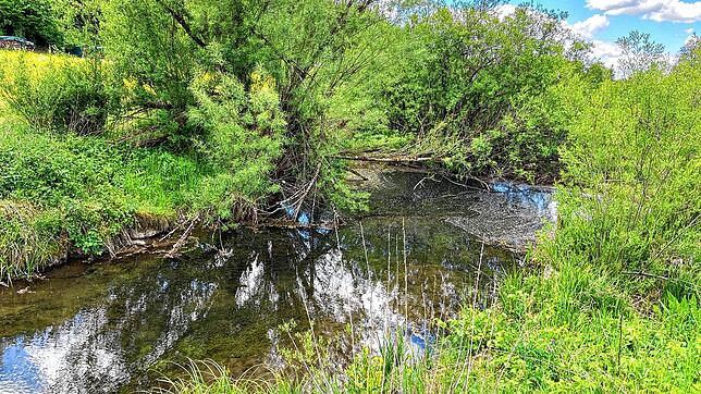 Einen halben Kilometer vor Marbach sind mehrere Teiche im zuvor ausgetrockneten Talbachlauf mit Wasser gefüllt – das ist einem ...