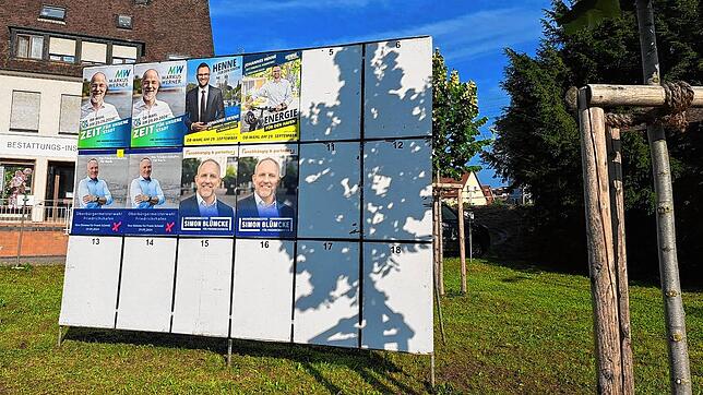 Friedrichshafen wählt einen neuen Oberbürgermeister oder eine neue Oberbürgermeisterin. Einige Kandidaten haben bereits im Stadtgebiet ...