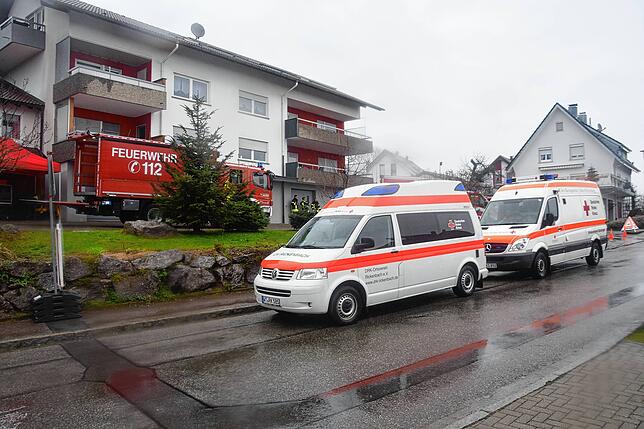 Bild 18: Brand im Sägewerk: Bilder vom Einsatz in Murg-Hänner