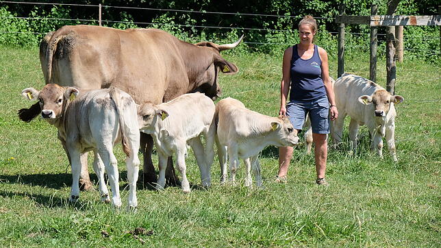 Mechthild Knösel mit Kuh &bdquo;Himbeere&ldquo; und Kälbern. Die Mütter der anderen Kälber grasen in der Nähe. Hier bleiben alle Kälber ...
