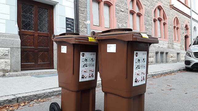 Biotonnen stehen in einer Straße in der Waldshuter Innenstadt