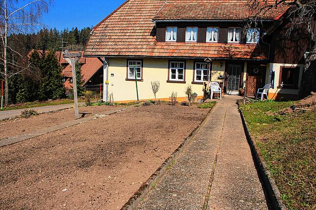 Dieser Bauerngarten im Hotzenwald wird erst Ende April bepflanzt. Die Höhe und die offene, ungeschützte Lage lassen fühere Pflanztermine ...