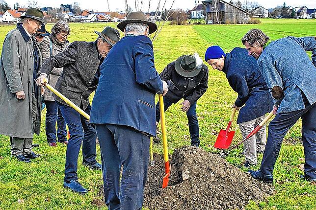 Alle packen mit an: Die Verantwortlichen des KJV und Gäste aus der Politik und der Schutzgemeinschaft Deutscher Wald pflanzen eine Baum.