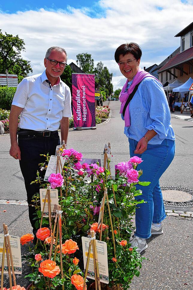 Bild 26: 53. Rosentage in Nöggenschwiel – Die besten Bilder! Teil 2