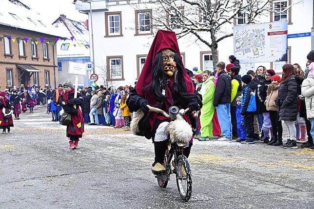 Bild 30: 75 Gruppen beim Fasnachtsumzug in St. Georgen: Wir haben die Bilder